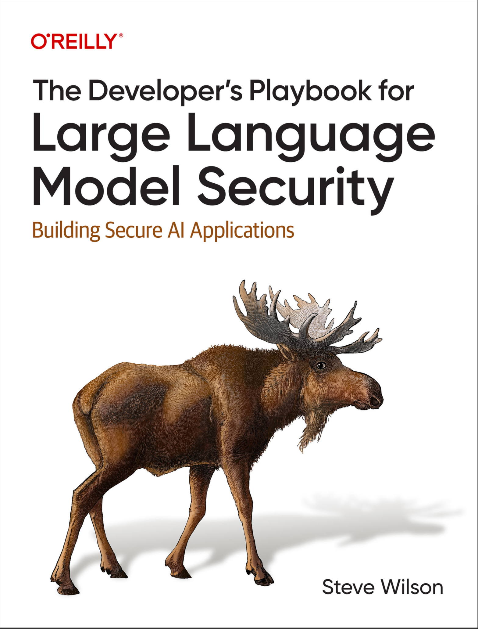 Cover image for the developers playbook for llm security