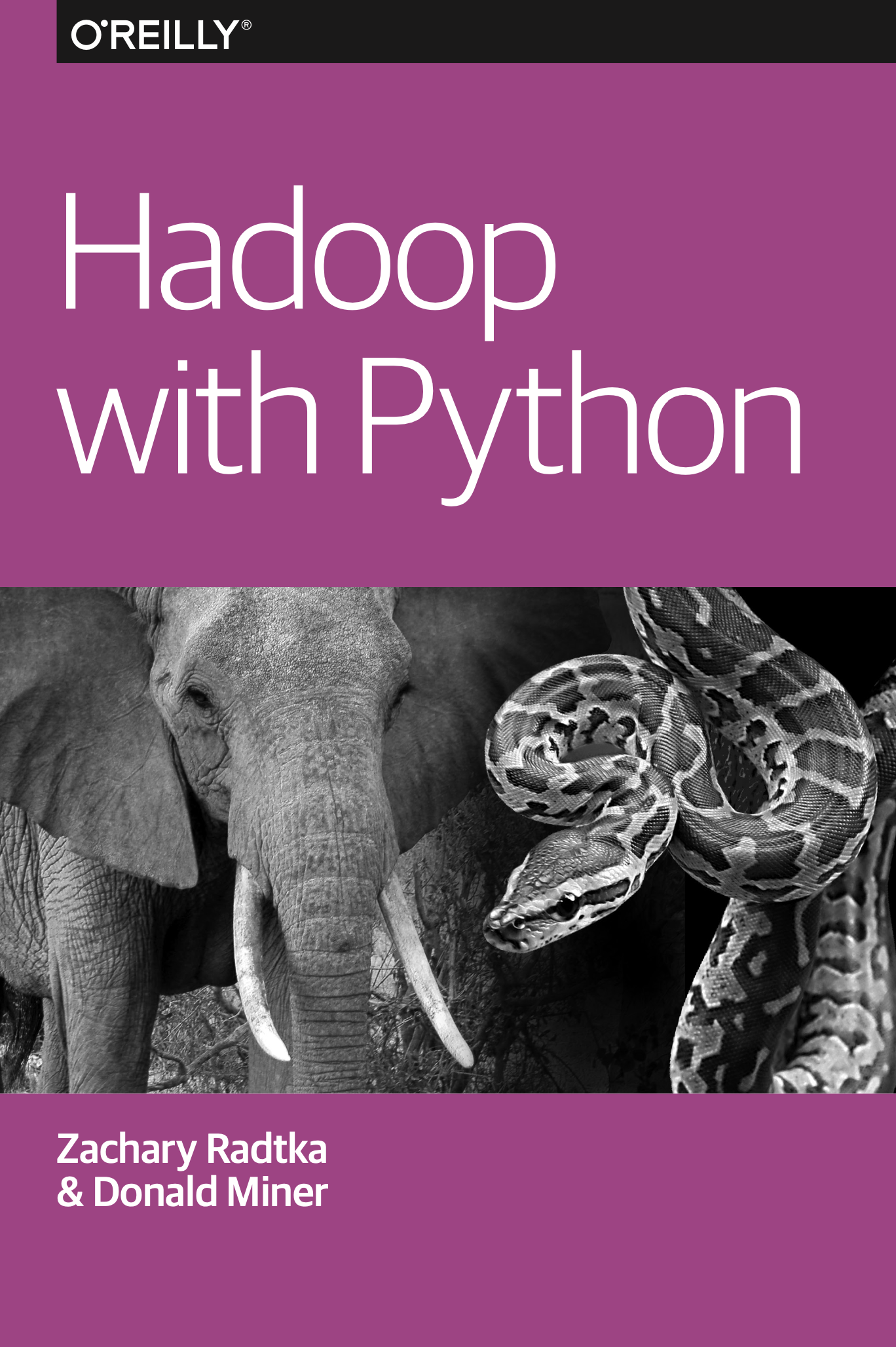 hadoop with python